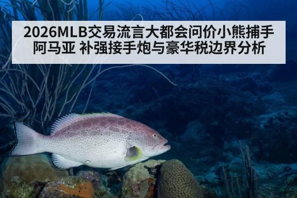 2026MLB交易流言大都会问价小熊捕手阿马亚 补强接手炮与豪华税边界分析