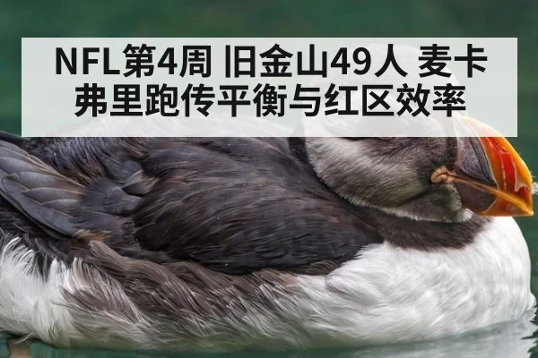 NFL第4周 旧金山49人 麦卡弗里跑传平衡与红区效率